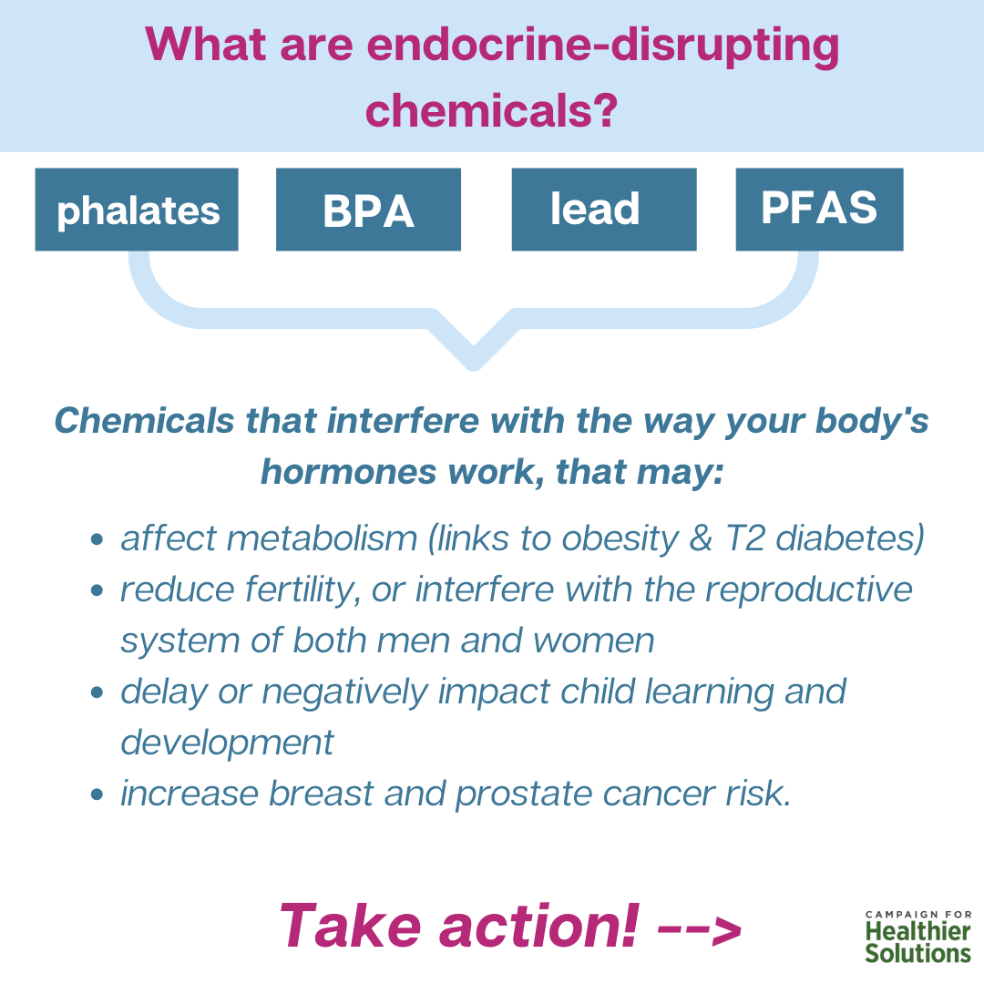 what are endocrine disrupting chemicals?