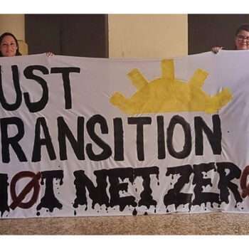 "Not Net Zero" Banner