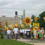 protesters marching with signs and sunflowers